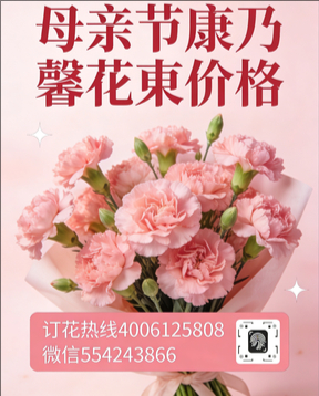 绍兴越城区花店母亲节康乃馨花束